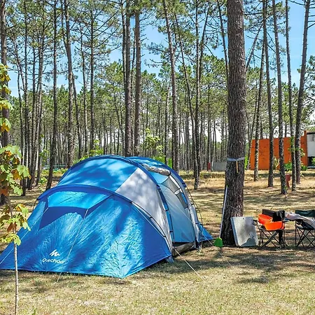 Luksustelt Cantinho Da Floresta *